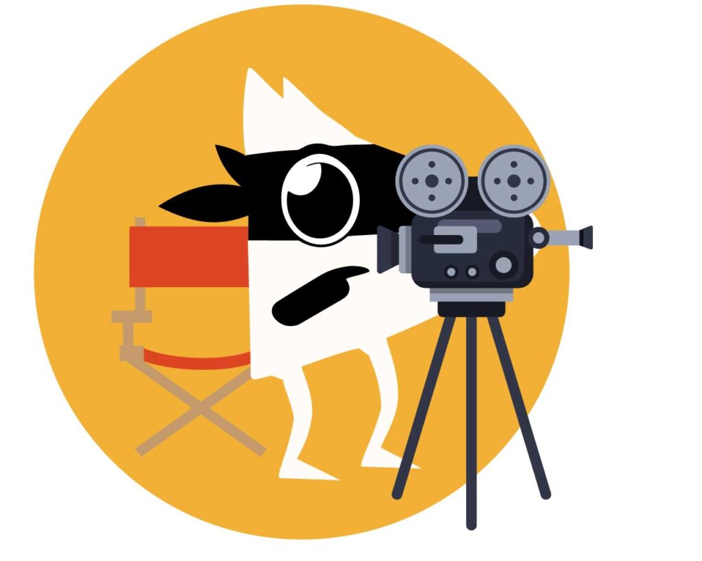 Graphiste logo vidéo et portfolio,Portfolio Rémi Rifflard